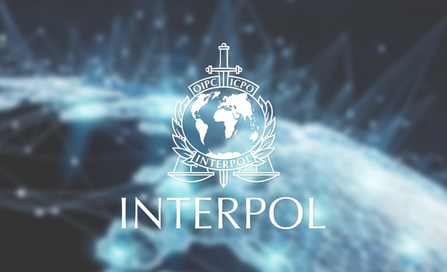 Interpol monitoring internet